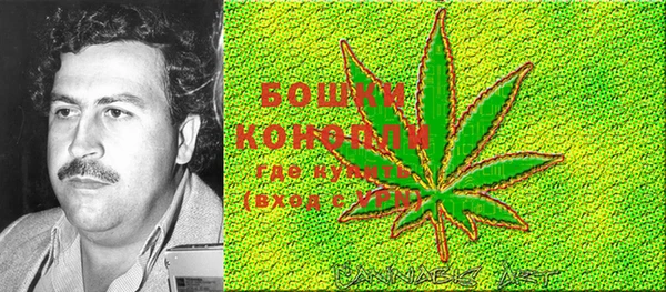 крисы Белоозёрский