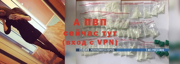 прущие грибы Беломорск