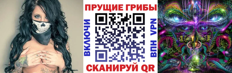 Псилоцибиновые грибы Psilocybine cubensis  darknet клад  Бежецк 